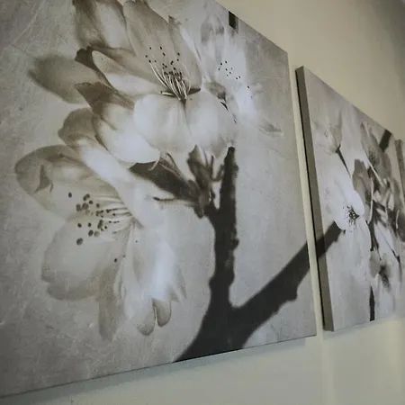 Stampace 卡利亚里